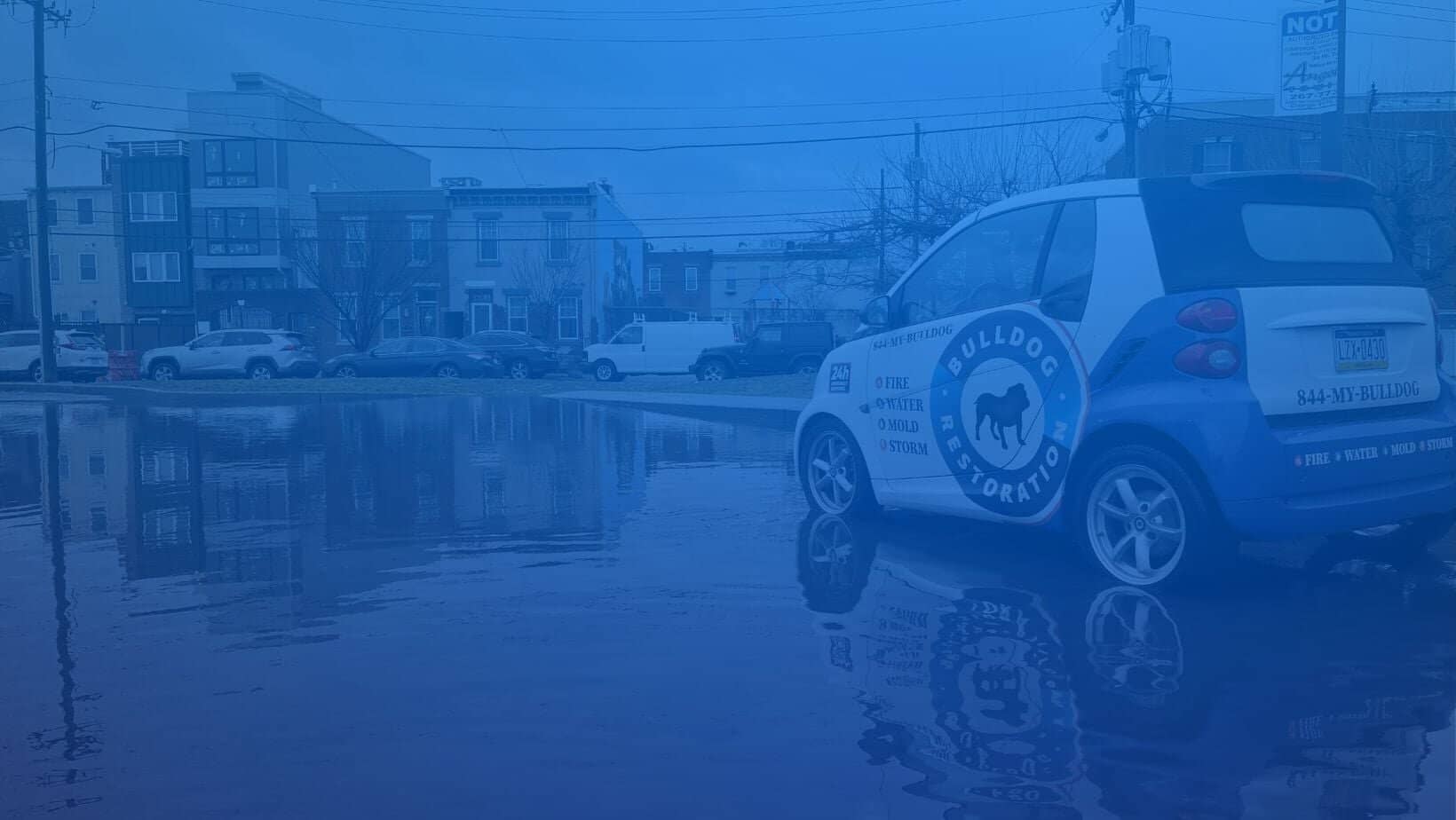 Commercial disaster restoration minimizing downtime for businesses in Warminster, Bucks County PA — Bulldog Cleaning & Restoration