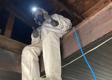 Attic mold remediation with containment setup